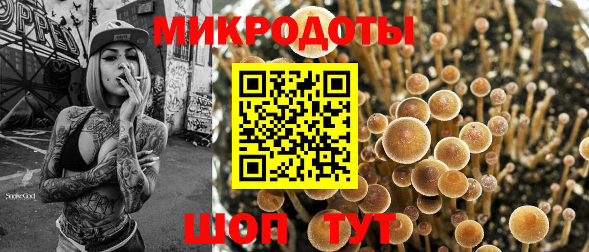 Губаха  Псилоцибиновые грибы GOLDEN TEACHER  Вход с VPN  Галлюциногенные грибы ЛСД 